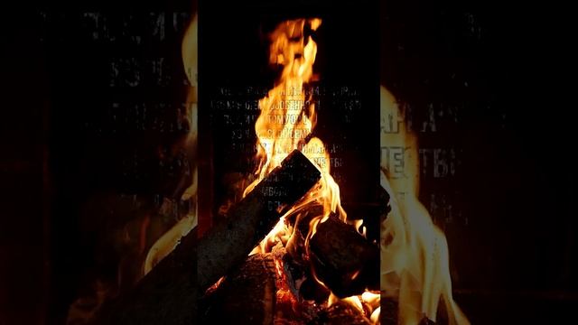 Новинки Нумизматики Италия 2025 0.25 евро МАРГАРИТКА #short смотреть онлайн