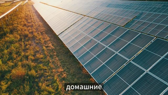 Будущее с Nestarenie Expert