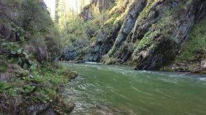 Рыбалка на хариуса. Рыбалка на горных реках Сибири.