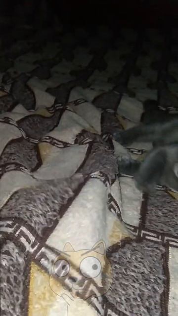 Я вот и я малышка-Бришка)🐱Захватываем стиральную маш? смотреть онлайн
