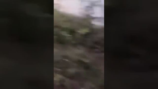 Дагестанцы держут оборону 👍👍👍✊сейчас чайник пост? смотреть онлайн