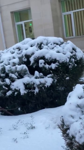 #переменчиваяпогода #петропавловск #осень2023 #погода #? смотреть онлайн