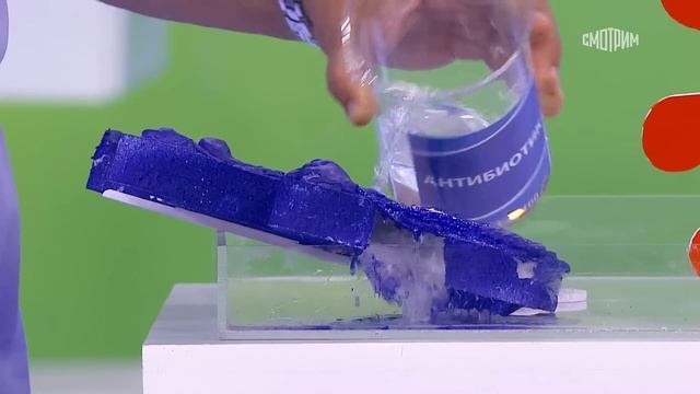 О самом главном. Выпуск от 29.10.2024