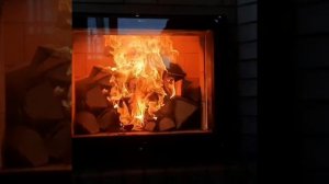 Горение дров в печи Кузнецова.