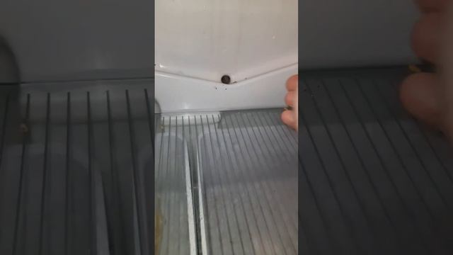 Течёт холодильник. 2023.