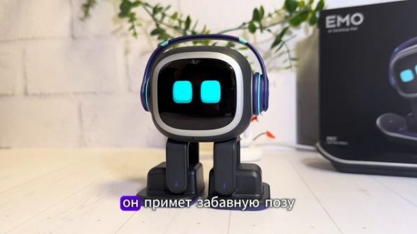 Хотите идеального домашнего питомца? EMO Robot в действии