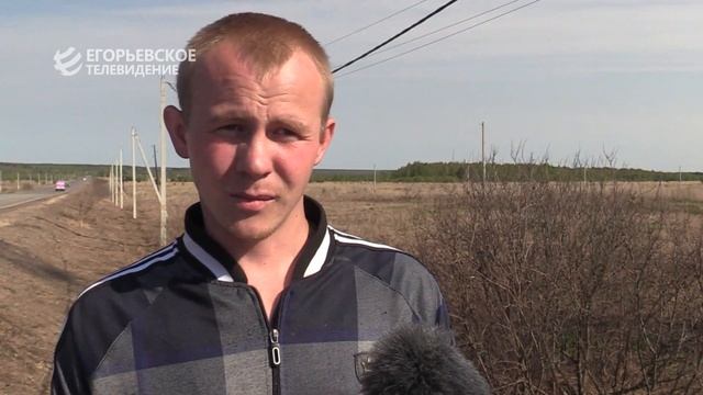 В округе началась обработка территории от борщевика