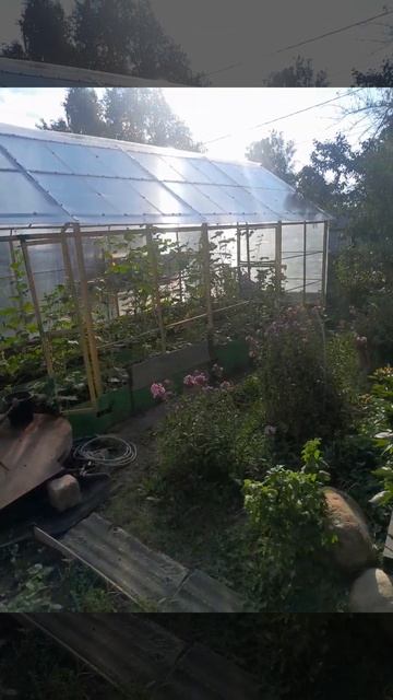 крыша теплицы 5 #теплица смотреть онлайн