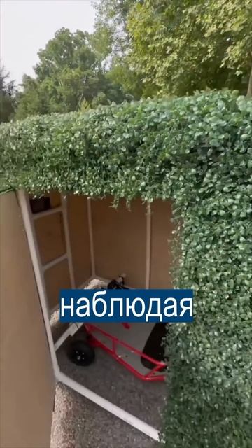 Помешанный на тайниках блогер сделал КОМНАТУ ВНУТРИ Х смотреть онлайн