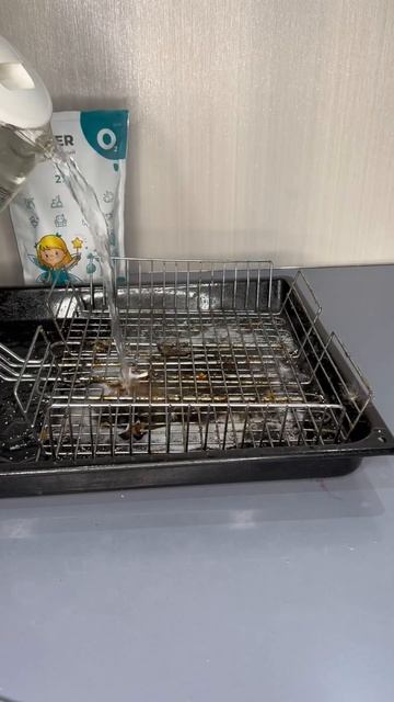 Самый быстрый способ отмыть решетку-гриль на природе - смотреть онлайн