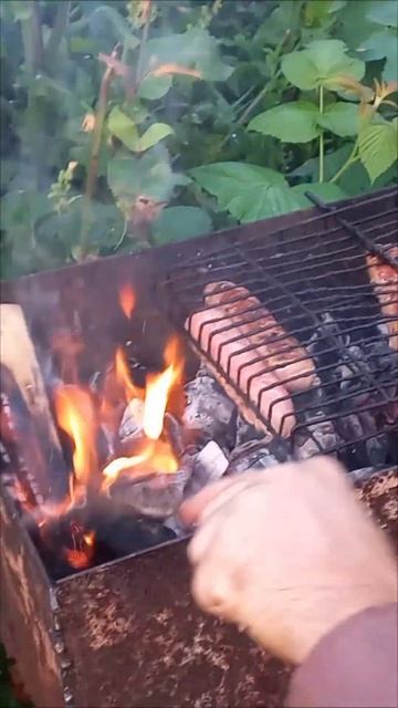 Поехали на дачу на шашлычок ;) #сад #дача #огород #спддач смотреть онлайн