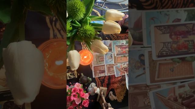 #таро #любовь #есть ли у вас тайный поклонник?🌞🌺 смотреть онлайн