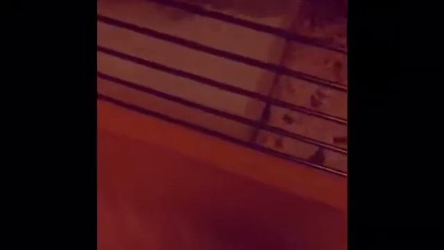 Що має бути в клітці у крис смотреть онлайн