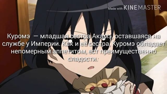 Топ 8 девушек в Убийца Акаме смотреть онлайн