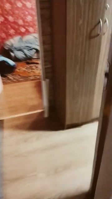 Этот звук показывает сколько тебе идти до холодильник смотреть онлайн