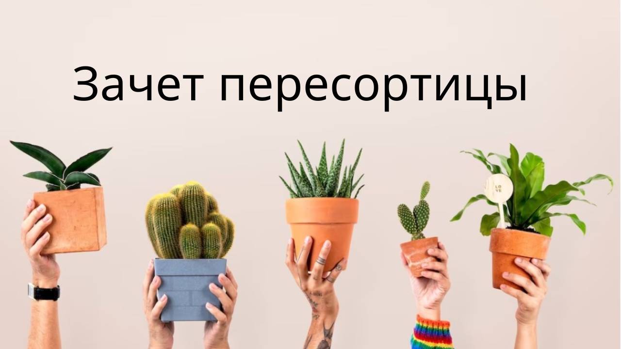 Зачет пересортицы