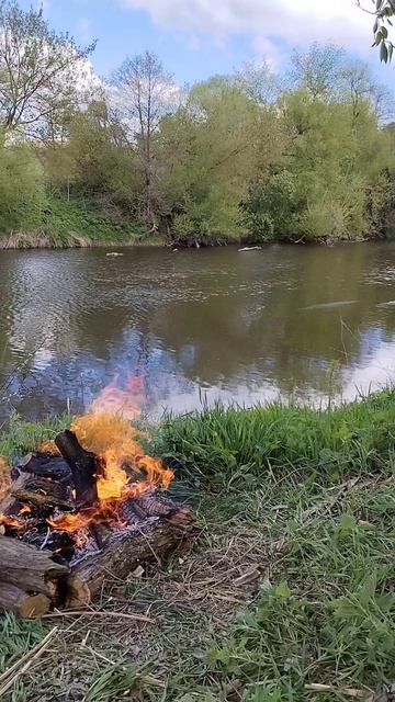 Весна 2025г р. Осётр 🎣🏕️