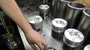 Сборка поршня двигателя Д-260(Амкодор)