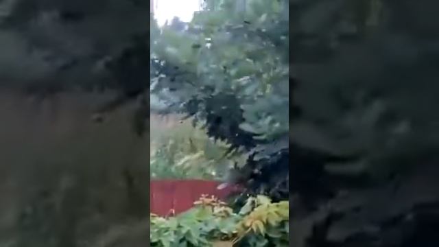 Шаровая молния в Новосибирске... смотреть онлайн