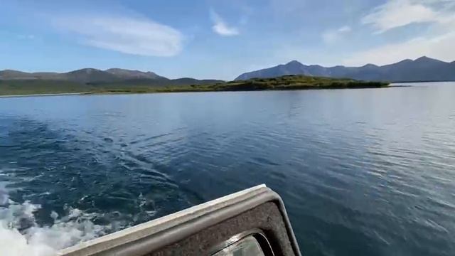 Отличные плавучие способности снегоболотохода ХИЩНИК смотреть онлайн