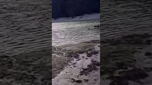 Кипарисовое озеро Сукко 19 декабря 2024 года. Вода прибыв смотреть онлайн