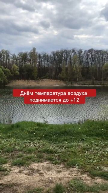 Какая погода ожидает белгородцев на Пасху #shorts #белгор смотреть онлайн