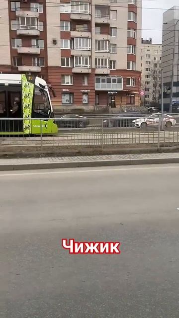 Трамвай 8 Спб Чижик #спб #транспорт смотреть онлайн