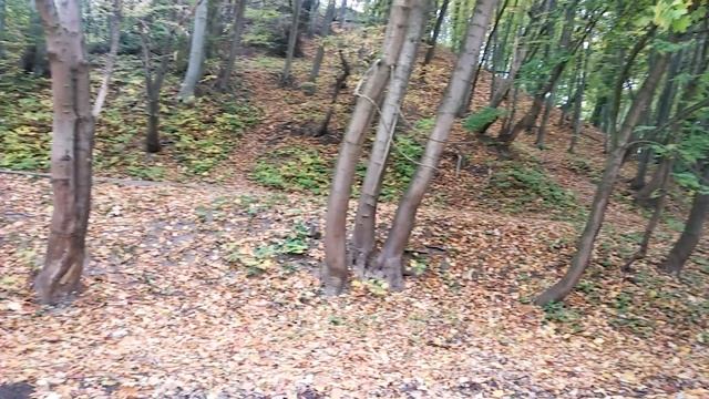 Куди піти на прогуляку восени у Львові: парк Погулянка