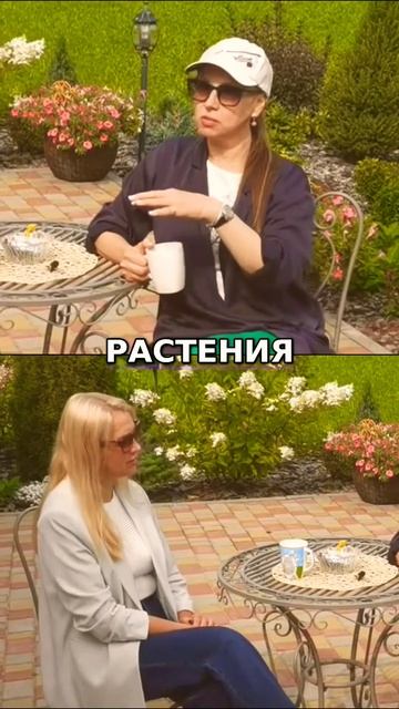 Что происходит в питомнике гортензий #цветы #флористи?