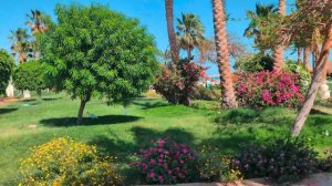 Египет 20.04.2025💥Шармаль Шейх💥Отель Regency Plaza Aqua Park &Spa