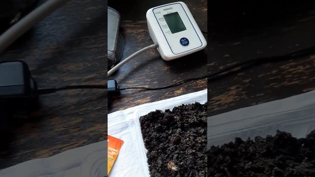 Посев баклажанов на рассаду смотреть онлайн