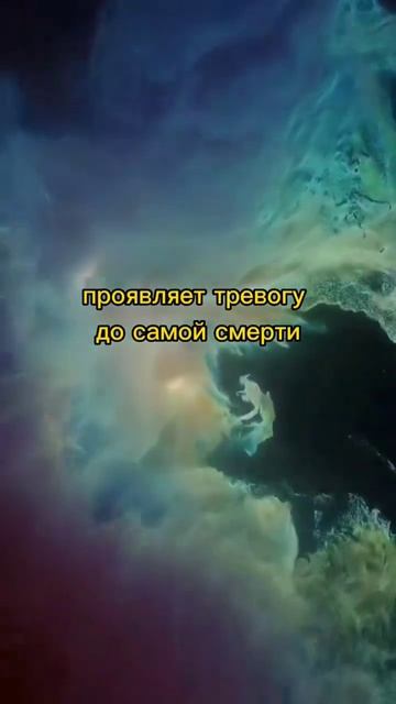 Есть ли у тебя вера для спасения?Ангелы и посланцы ада смотреть онлайн