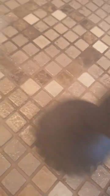 вы до сих пор думаете что у вас чистый пол? смотреть онлайн