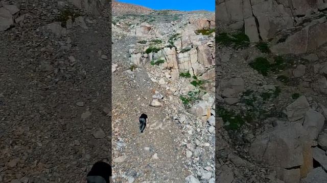 в верх смотреть онлайн