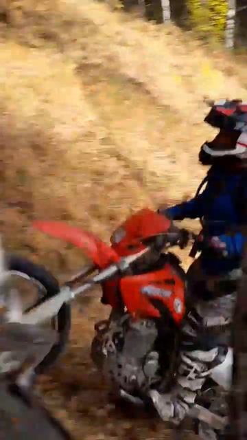 Погода класс, компания огонь, катаемся в городе Зелено смотреть онлайн