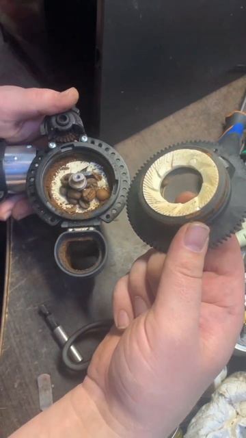 находка #shortsvideo смотреть онлайн