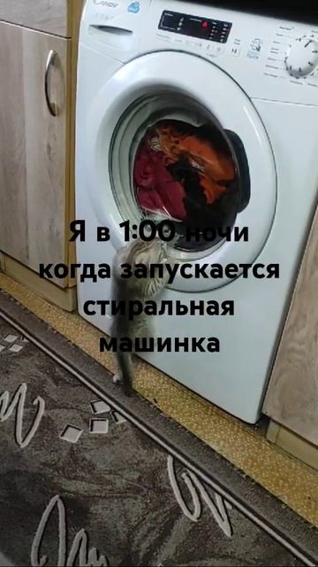 10 ноября 2024 г. смотреть онлайн