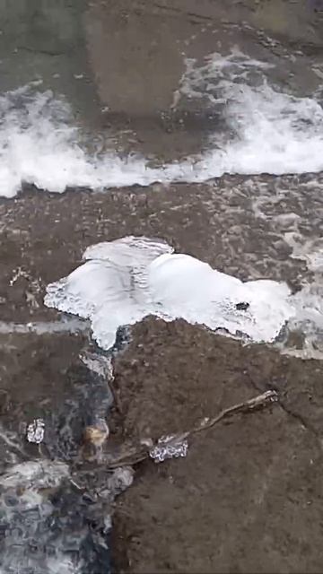 Белая орхидея над водопадом. смотреть онлайн