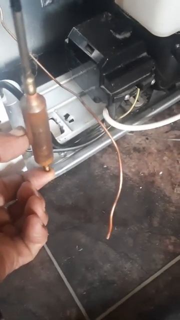 Холодильник Бяка проверка компресора смотреть онлайн