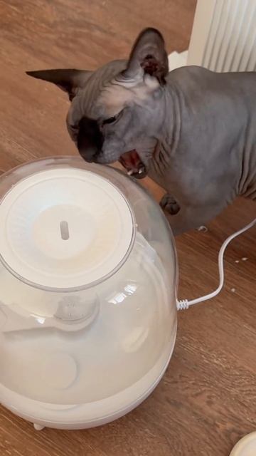 Что такое этот ваш увлажнитель воздуха? Всё на зубок…? смотреть онлайн