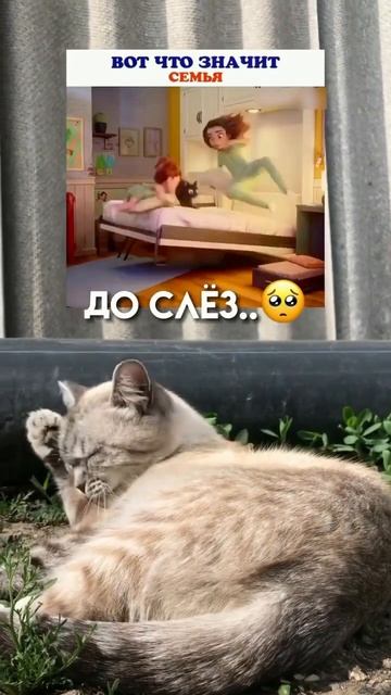 ВОТ ЧТО ЗНАЧИТ СЕМЬЯ❤️🥺 смотреть онлайн