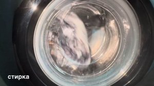 SAMSUNG WW80AGAS21AXLP/ЕЖЕДНЕВНАЯ 40 3 1000