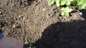 Разобрал опалубку, результатом довольны. Провёл первую тренировку  с детьми!