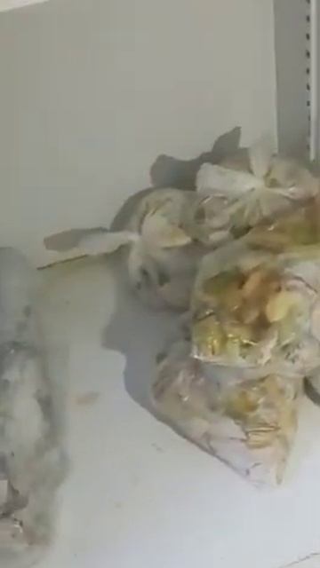 Холодильник в детском саду, видео 2 смотреть онлайн