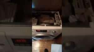 Bosch avantixx 6 не выходит на обороты отжима