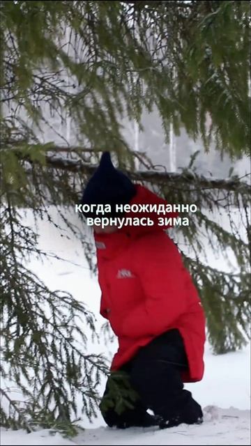 А как погода у вас? Арт. OZON куртка 1215162364, WB 191665733 #fashion #мо смотреть онлайн