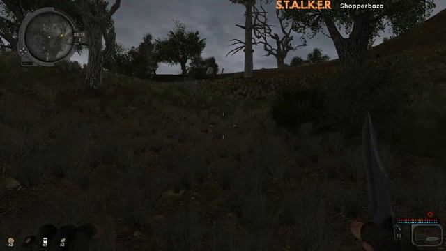 Развиваем Хип - S.T.A.L.K.E.R. - Call of Chernobyl ЛЕТСПЛЕЙ | LETSPLAY 001 смотреть онлайн