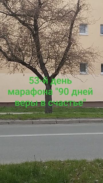 53-й день марафона: есть результат! смотреть онлайн