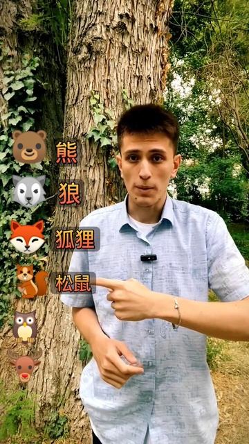 Лесные животные на китайском языке 🇨🇳 #китайскийязы смотреть онлайн