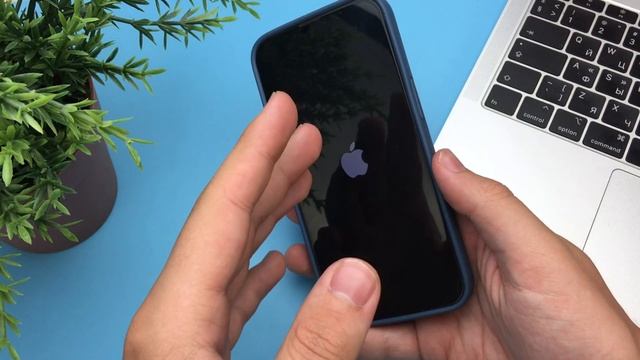 Что делать если не работает мобильная сеть на iPhone? Нет смотреть онлайн
